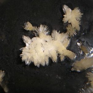 Dimethyltryptamine (DMT)