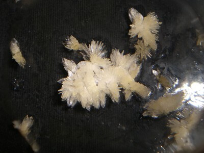 Dimethyltryptamine (DMT)